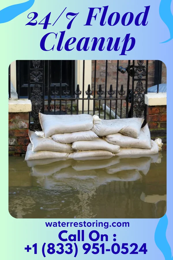 24/7 Flood Cleanup in Rockwood, IL