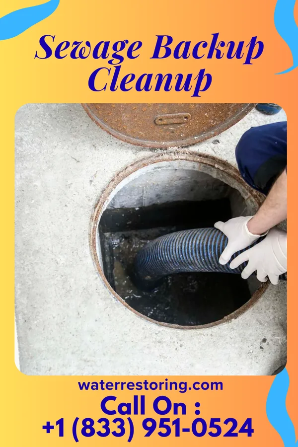 Sewage Backup Cleanup in Rockwood, IL