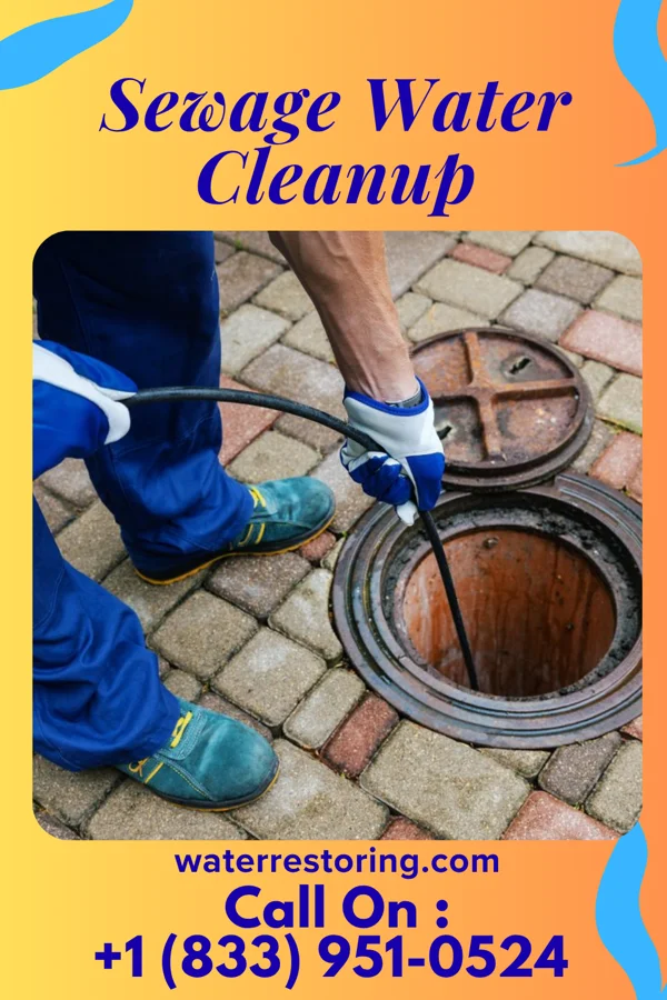 Sewage Water Cleanup in Rockwood, IL