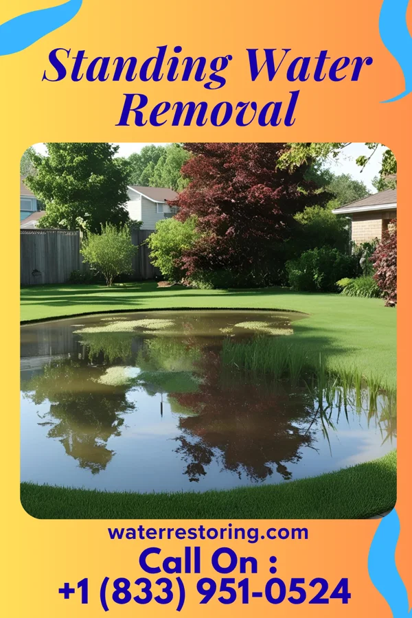 Standing Water Removal in Rockwood, IL